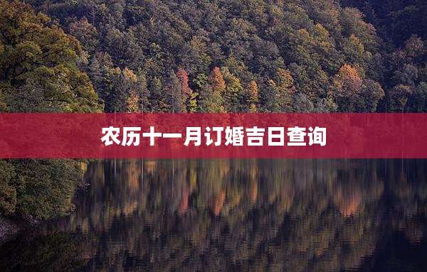 农历十一月订婚吉日查询