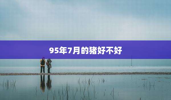 95年7月的猪好不好