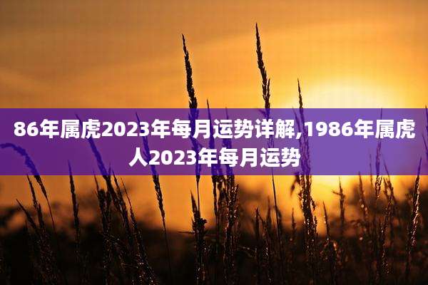 86年属虎2023年每月运势详解,1986年属虎人2023年每月运势