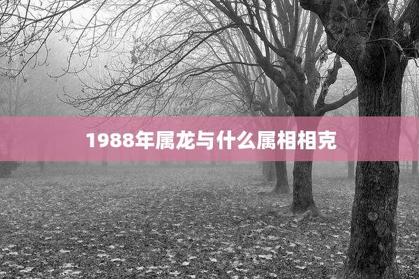 1988年属龙与什么属相相克