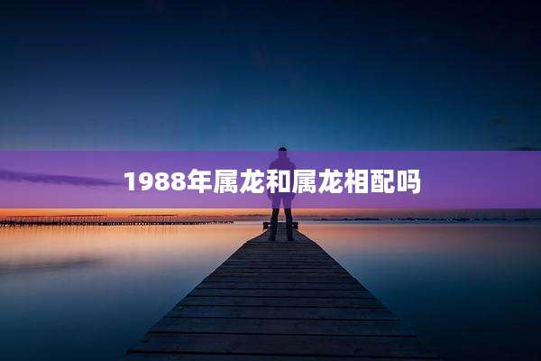1988年属龙和属龙相配吗
