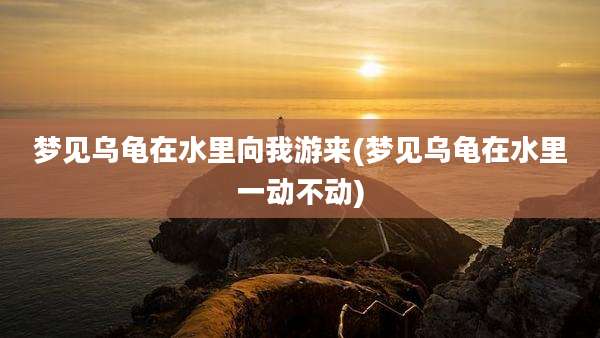 梦见乌龟在水里向我游来(梦见乌龟在水里一动不动)