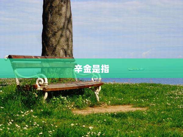 辛金是指