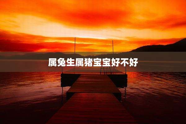 属兔生属猪宝宝好不好