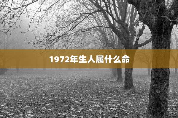 1972年生人属什么命