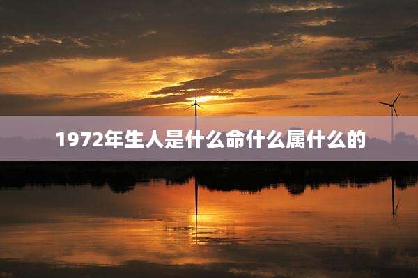 1972年生人是什么命什么属什么的