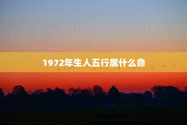 1972年生人五行属什么命