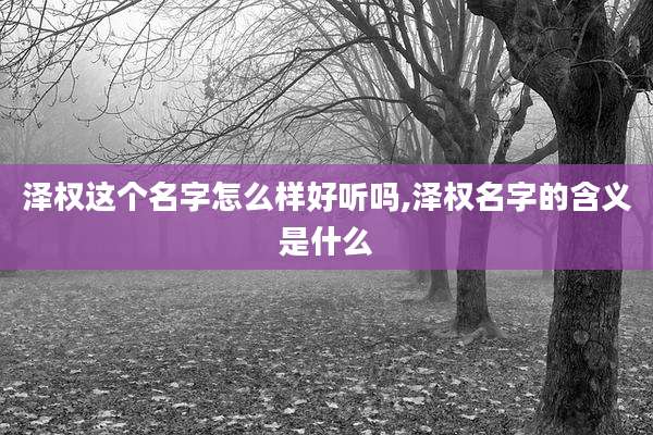 泽权这个名字怎么样好听吗,泽权名字的含义是什么