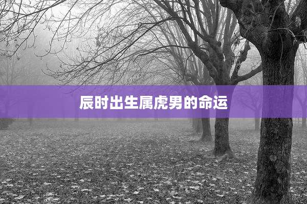 辰时出生属虎男的命运