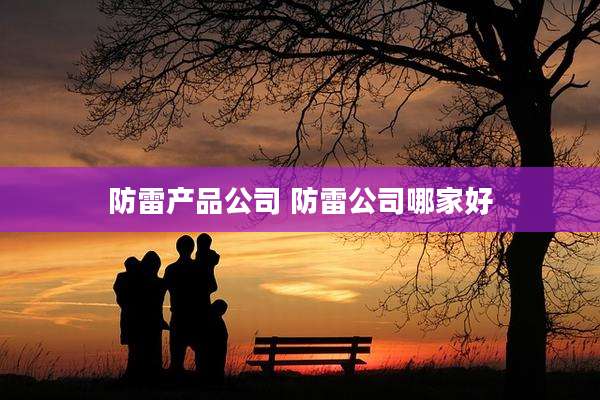 防雷产品公司 防雷公司哪家好