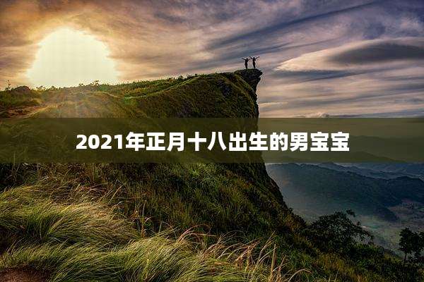 2021年正月十八出生的男宝宝