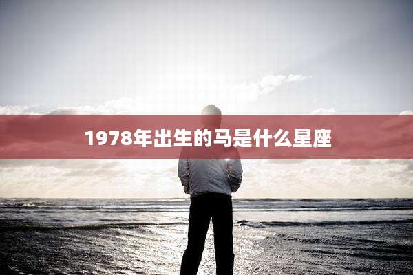 1978年出生的马是什么星座