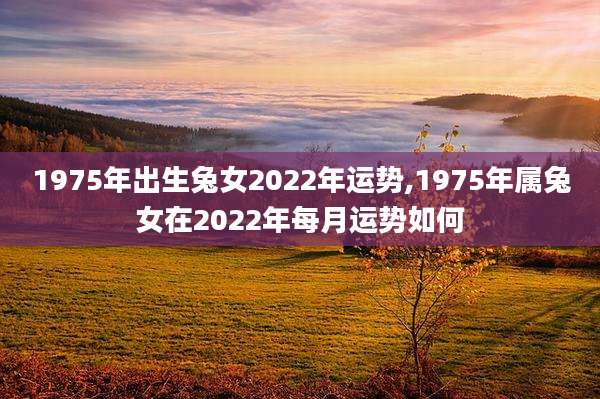 1975年出生兔女2022年运势,1975年属兔女在2022年每月运势如何