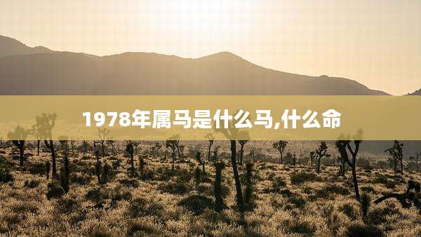 1978年属马是什么马,什么命