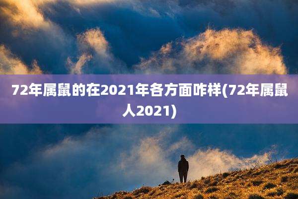 72年属鼠的在2021年各方面咋样(72年属鼠人2021)