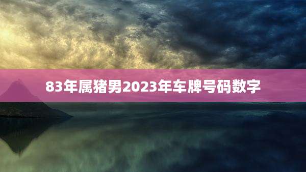 83年属猪男2023年车牌号码数字
