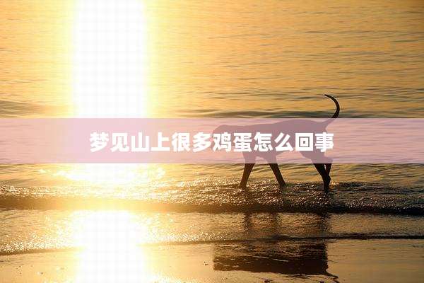 梦见山上很多鸡蛋怎么回事