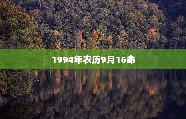 1994年农历9月16命