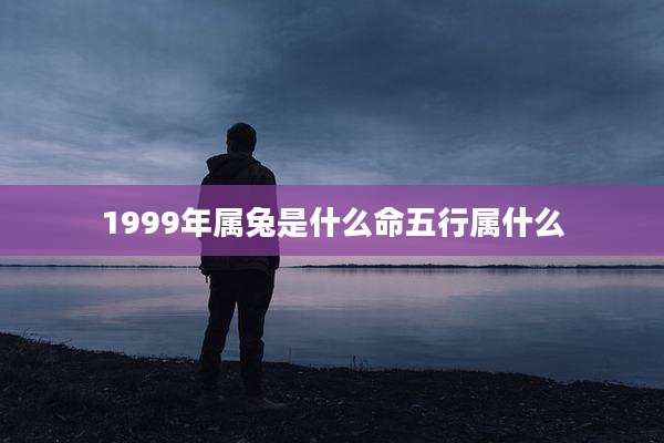 1999年属兔是什么命五行属什么