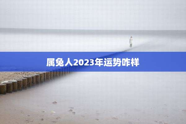 属兔人2023年运势咋样