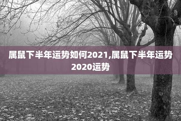 属鼠下半年运势如何2021,属鼠下半年运势2020运势