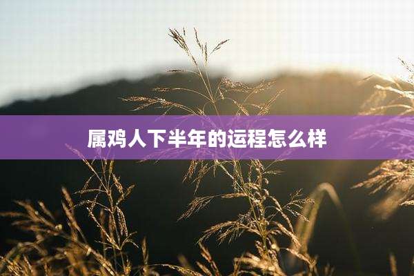 属鸡人下半年的运程怎么样