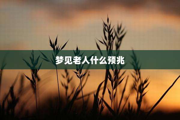 梦见老人什么预兆