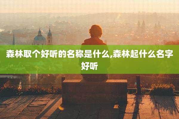 森林取个好听的名称是什么,森林起什么名字好听