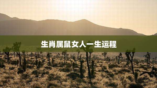 生肖属鼠女人一生运程
