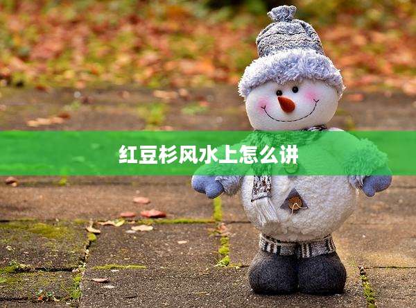 红豆杉风水上怎么讲