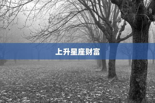 上升星座财富