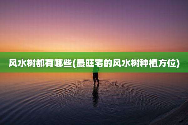 风水树都有哪些(最旺宅的风水树种植方位)