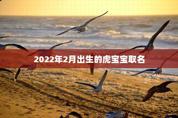 2022年2月出生的虎宝宝取名