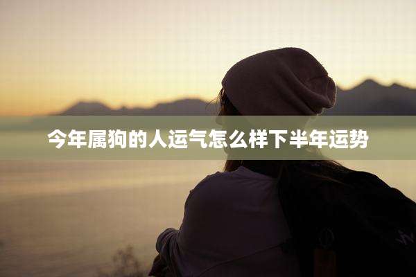 今年属狗的人运气怎么样下半年运势