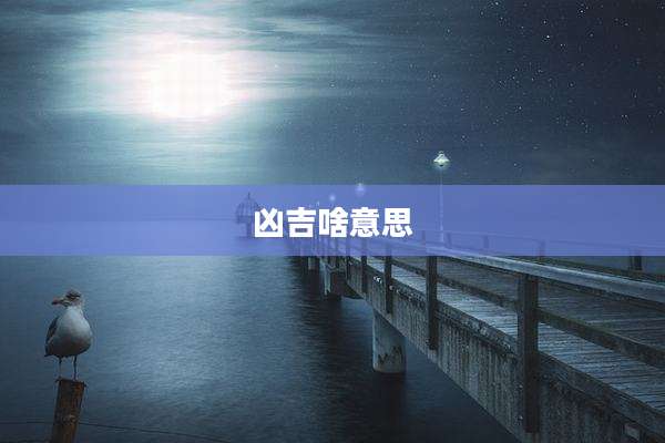 凶吉啥意思