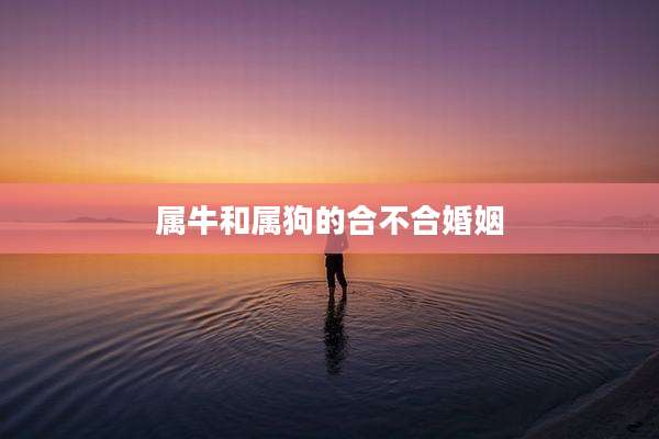 属牛和属狗的合不合婚姻