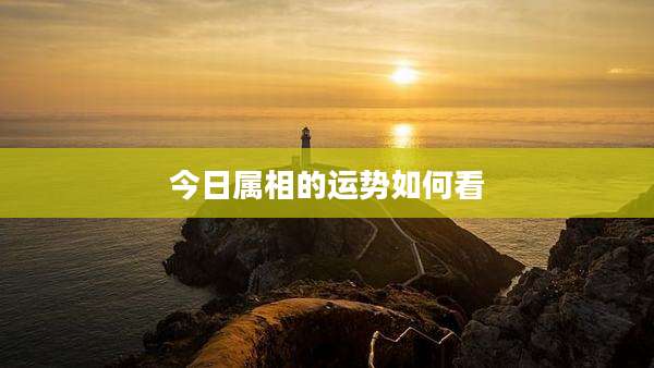 今日属相的运势如何看