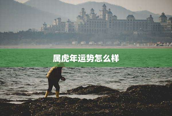 属虎年运势怎么样