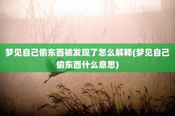 梦见自己偷东西被发现了怎么解释(梦见自己偷东西什么意思)