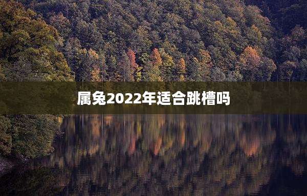 属兔2022年适合跳槽吗