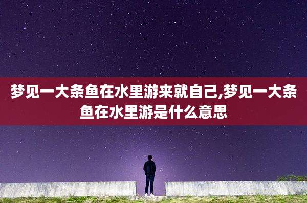 梦见一大条鱼在水里游来就自己,梦见一大条鱼在水里游是什么意思