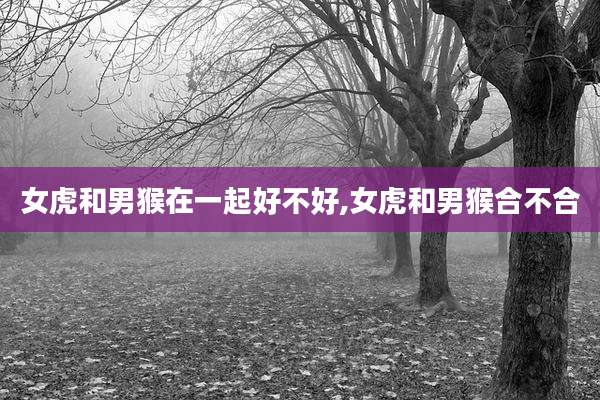 女虎和男猴在一起好不好,女虎和男猴合不合