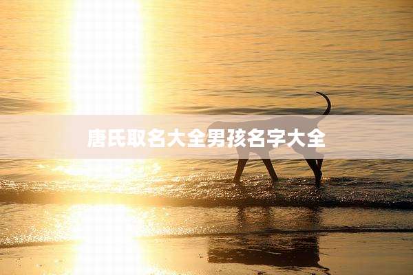 唐氏取名大全男孩名字大全
