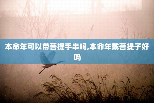 本命年可以带菩提手串吗,本命年戴菩提子好吗