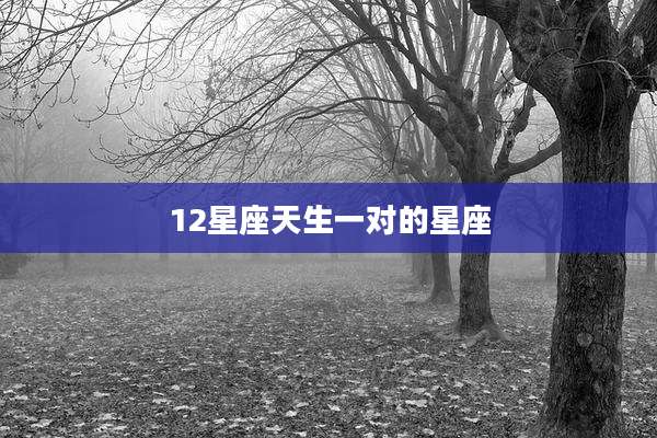 12星座天生一对的星座