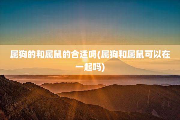 属狗的和属鼠的合适吗(属狗和属鼠可以在一起吗)
