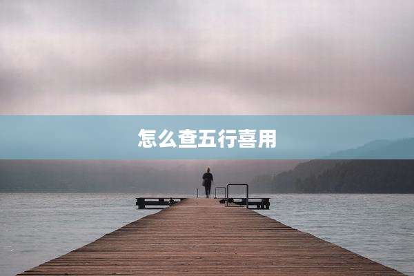 怎么查五行喜用