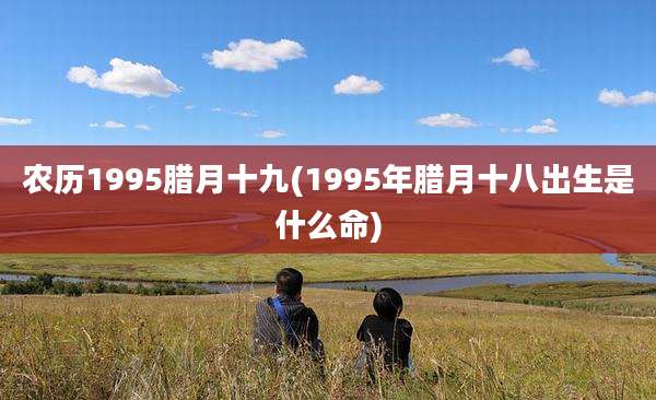 农历1995腊月十九(1995年腊月十八出生是什么命)