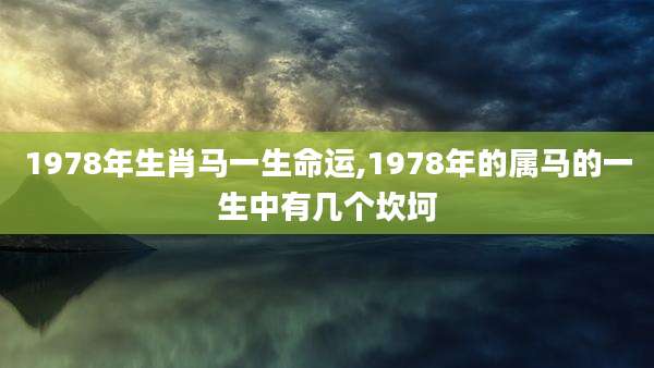 1978年生肖马一生命运,1978年的属马的一生中有几个坎坷