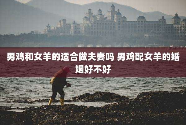男鸡和女羊的适合做夫妻吗 男鸡配女羊的婚姻好不好